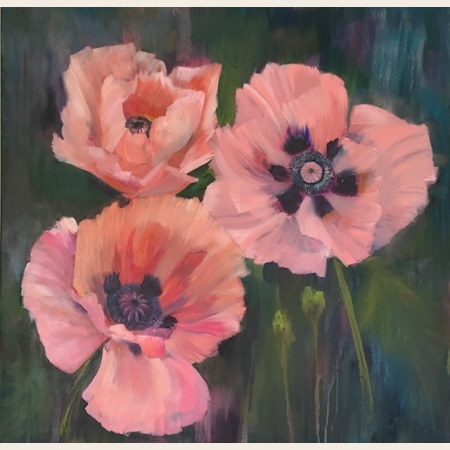 SOLD: Poppies unfurling