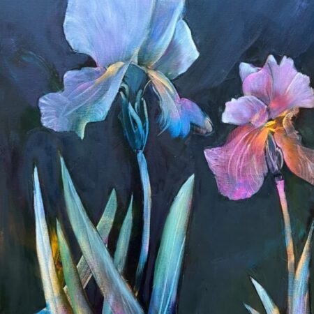 Iris-Unleashed